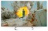 PANASONIC TX-50EX730E
