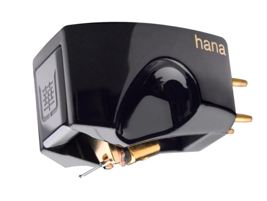 hana.webp