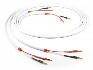 CHORD COMPANY C-ScreenX Speaker Cable hos Reptilaudio.se