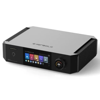 EVERSOLO DMP-A10 hos Reptilaudio.se