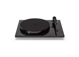 GOLDRING GR3 hos Reptilaudio.se