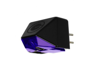 GOLDRING E3 hos Reptilaudio.se