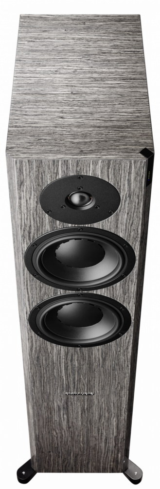 dynaudio focus xd 30
