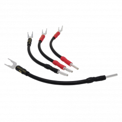 CHORD COMPANY Signature Bi-Wire Speaker Links hos Reptilaudio.se