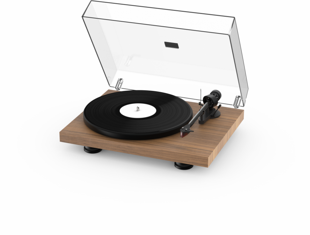 PRO-JECT Debut Carbon EVO - Reptil Audio