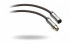 QED Reference Audio Evolution XLR