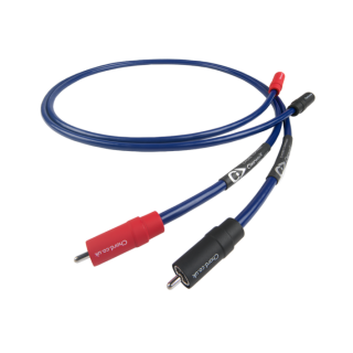 CHORD COMPANY ClearwayX ARAY analogue RCA hos Reptilaudio.se