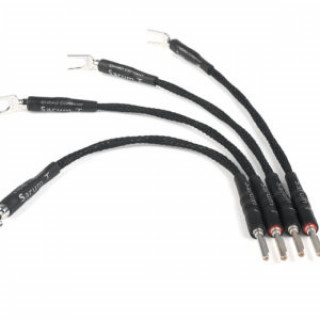 CHORD COMPANY Sarum T Links Spade till banana * 4 hos Reptilaudio.se