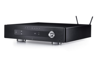 PRIMARE I25 Prisma DM36 hos Reptilaudio.se