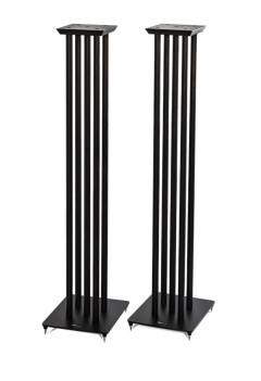 NS-10