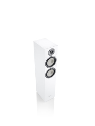 CANTON GLE 70 hos Reptilaudio.se