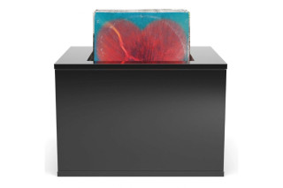 UNNU MODEL 211 LP hos Reptilaudio.se