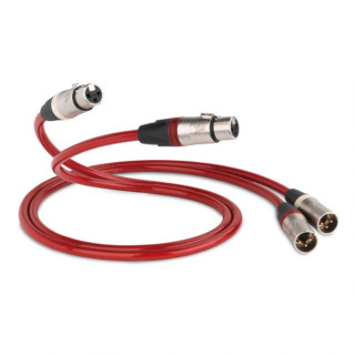 QED Reference XLR 40 Analogue hos Reptilaudio.se
