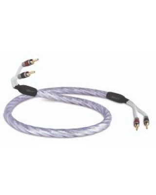 QED Signature Genesis Silver Spiral hos Reptilaudio.se