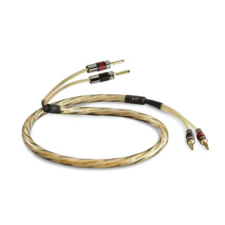 QED Reference Golden Anniversary XT hos Reptilaudio.se