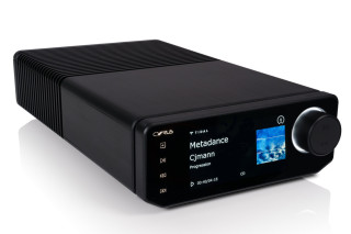 CYRUS 40 ST hos Reptilaudio.se