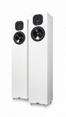 NEAT ACOUSTICS Momentum SX5i hos Reptilaudio.se