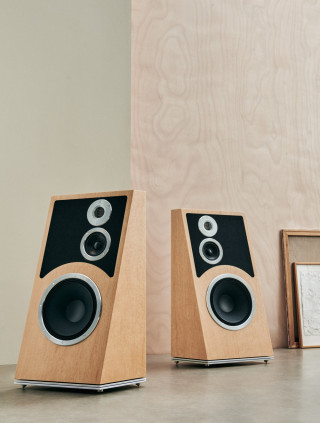 AUDIOVECTOR Trapeze Limited hos Reptilaudio.se