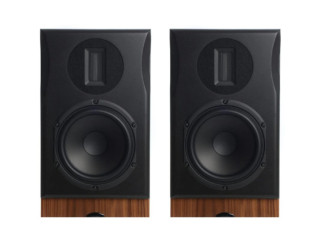 NEAT ACOUSTICS MAJISTRA hos Reptilaudio.se